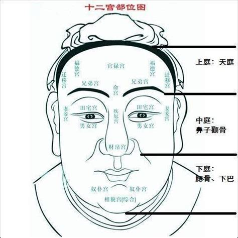 53歲面相|【50至60歲面相】揭密！50至60歲面相圖解，掌握晚年運勢密碼